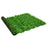 Balcony Privacy Screen with Green Leaves 300x150 cm