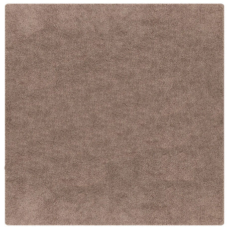 Shaggy Rug High Pile Brown 160X160 Cm Pp