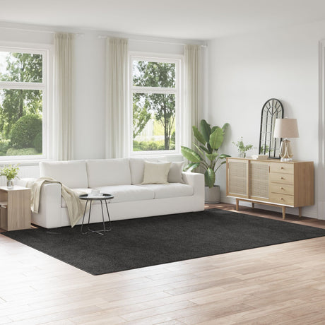 Shaggy Rug With Latex Backing Dark Grey 240X340 Cm