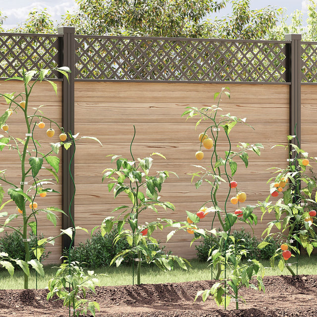 Spiral Plant Supports 5 Pcs 110 Cm Steel