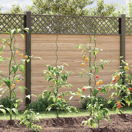 Spiral Plant Supports 5 Pcs 150 Cm Steel