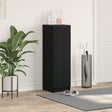 Black Oak Shoe Cabinet - 29.5 X 35 X 100.5 Cm - Made Of Engineered Wood