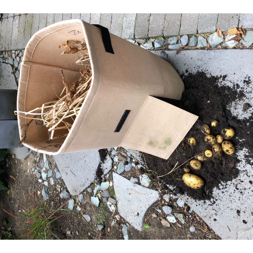 Potato Grow Bag 37 L Beige