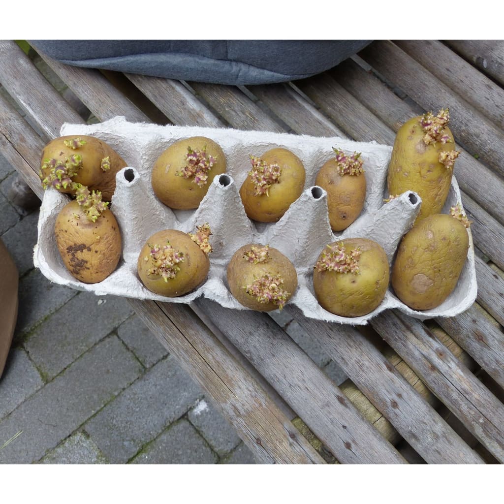 Potato Grow Bag 37 L Beige