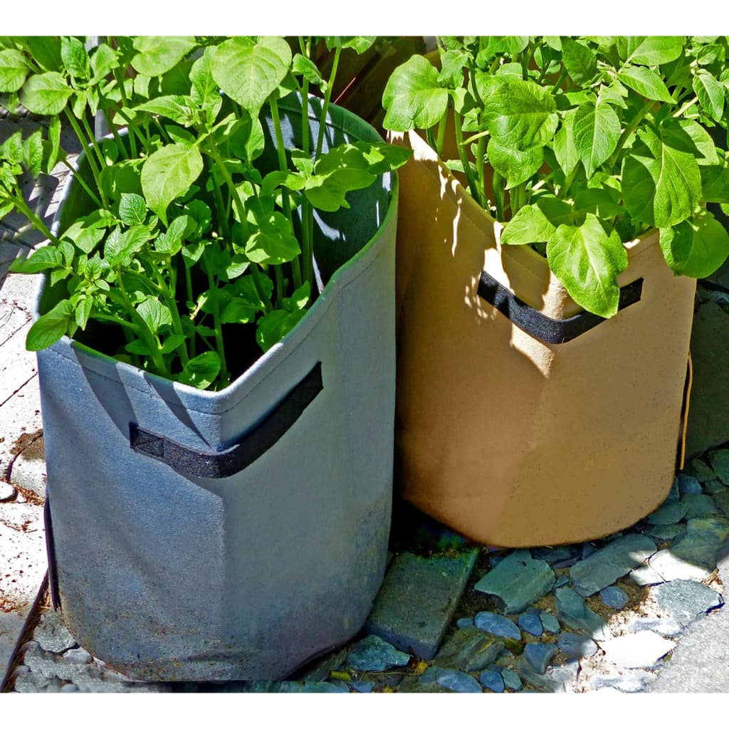 Potato Grow Bag 37 L Beige