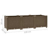Raised Bed 120x40x38 cm Polypropylene