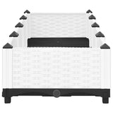 Raised Bed 160x40x23 cm Polypropylene