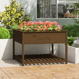 Planter with Shelf Honey Brown 111.5x111.5x81 cm Solid Wood Pine