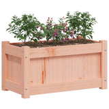 Garden Planters 2 pcs Solid Wood Douglas